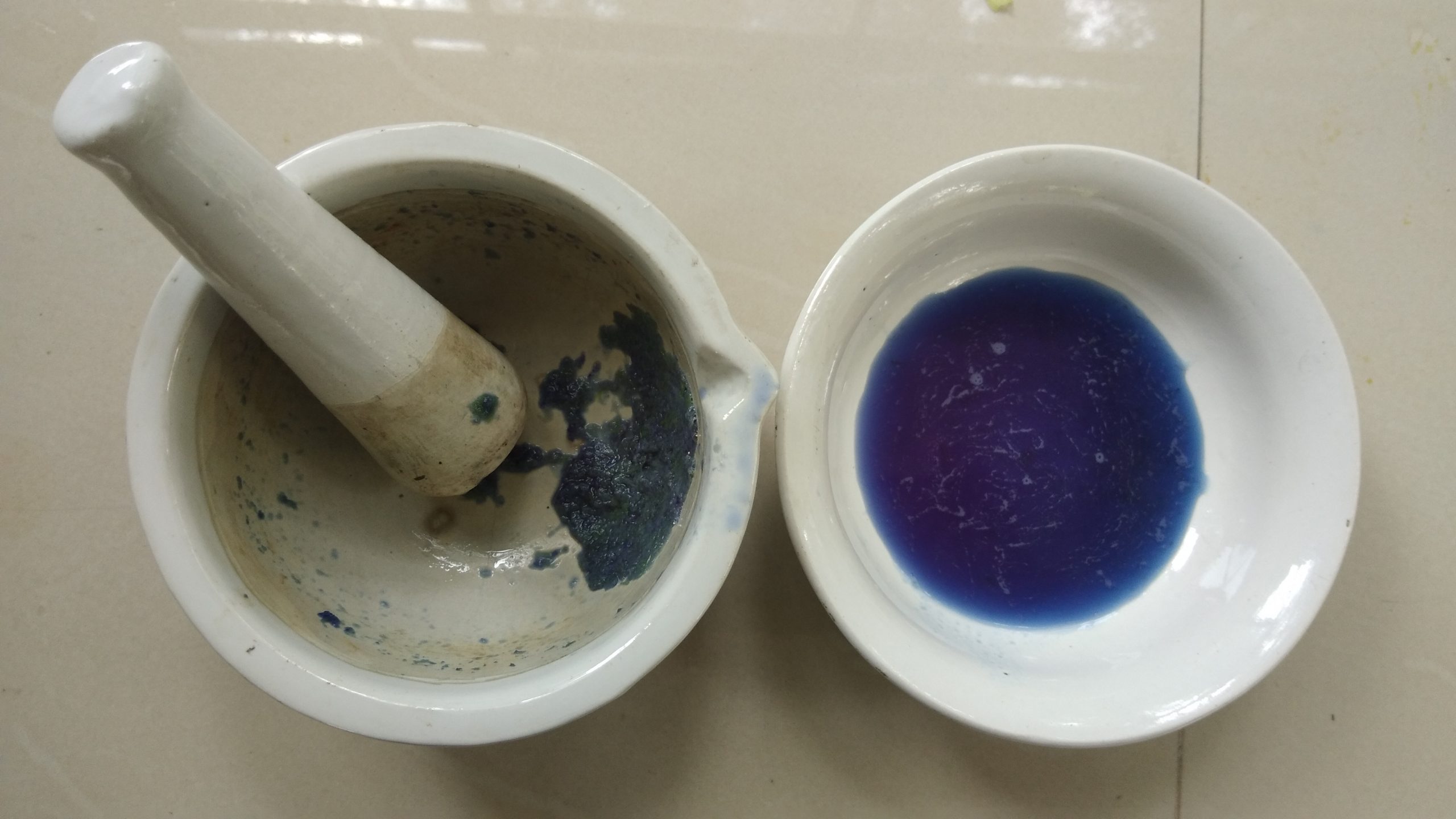 Capturing with Chlorophyll