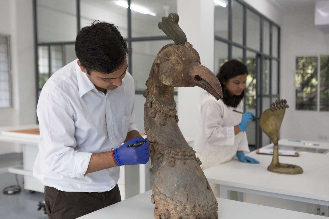 Conservation: Now and the Future